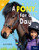 A Pony for a Day (Leveled Reader Grade 2) by HMH HMH, 9780358262275