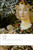 Fasti - 9780192824110 by Ovid, Anne Wiseman, Peter Wiseman