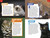 TIME for Kids: Big Cats, Small Cats (101 Cats You Need to Know!) by Kitson Jazynka, TIME for Kids, 9780593891407