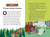 The Only Ghost at Summer Camp by Tara J. Hannon, Tara J. Hannon, 9780593753170