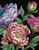 Peonies Journal (Lined Pages and Sprayed Edges) by Editors of Chartwell Books, 9780785847007