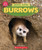 Burrows (Learn About: Animal Homes) - 9781546177036 by Claire Caprioli, 9781546177036