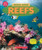 Reefs (Learn About: Animal Homes) by Jay Leslie, 9781546177425