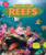 Reefs (Learn About: Animal Homes) - 9781546177432 by Jay Leslie, 9781546177432