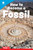 How to Become a Fossil by Anne Lamb, 9798765968932