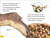 DK Super Readers Level 2 French Translation Dinosaur Dinners - Le DÃ®ner des dinosaures - 9780593968215 by DK