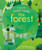Peek Inside the Forest by Anna Milbourne, Simona Dimitri, 9781836051695