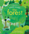 Peek Inside the Forest by Anna Milbourne, Simona Dimitri, 9781836051695