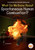 What Do We Know About Spontaneous Human Combustion? by Steve Korté, Who HQ, Andrew Thomson, 9798217049219