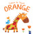 Colors to Touch: Orange by Yoyo Books, 9789465054292