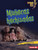 Muñecas hechizadas (Haunted Dolls) (Spanish Edition) by Susan B. Katz, 9798765668108