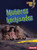 Muñecas hechizadas (Haunted Dolls) (Spanish Edition) - 9798765683309 by Susan B. Katz, 9798765683309
