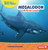 Megalodon (A First Look) - 9798765684696 by Hannah Gramson, 9798765684696
