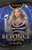 Beyoncé (Renaissance Woman) - 9798765684900 by Lisa M. Bolt Simons