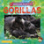 Gorillas - 9781788565974 by Ruth Owen, 9781788565974