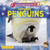 Emperor Penguins - 9781788565950 by Ruth Owen, 9781788565950