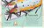 An Anthology of Remarkable Bugs by Jess French, 9780593971758