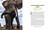 Secrets of the Elephants by Paula Kahumbu, Claudia Geib, 9781426223310