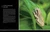 National Geographic Photo Basics (The Ultimate Beginner's Guide to Great Photography) by Joel Sartore, 9781426219702