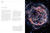 Infinite Cosmos (Visions From the James Webb Space Telescope) by Brian Greene, Ethan Siegel, 9781426223822