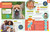 National Geographic Little Kids First Encyclopedia of Almost Everything - 9781426375477 by National Geographic Kids