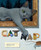 Cat Nap - 9780062671288 by Brian Lies, Brian Lies, 9780062671288