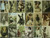 Postcard Dogs by Libby Hall, 9781582344690