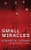 Small Miracles by Edward M. Lerner, 9780765360700