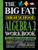 The Big Fat High School Algebra 2 Workbook (400+ Algebra 2 Practice Exercises) by Workman Publishing, 9781523525935