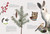 The Forest Revealed (An Illustrated Year) by Jada Fitch, Kateri Kosek, 9781635868821