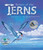 Return of the Terns: How Scientists Are Saving Island Birds by Jennifer Keats Curtis, Kim Abplanalp, Phyllis Saroff, 9781638173298