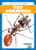 Veo hormigas (I See Ants) (Spanish Edition) by Genevieve Nilsen, 9781641285278