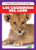 Los cachorros del león (Lion Cubs) (Spanish Edition) by Genevieve Nilsen, 9781641285452