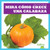 Mira cómo crece una calabaza (Watch a Pumpkin Grow) by Kirsten Chang, 9781641285117