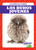 Los búhos jóvenes (Owlets) by Genevieve Nilsen, 9781641280846
