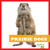 Prairie Dogs - 9781624967627 by Cari Meister, 9781624967627