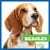 Beagles - 9781624967641 by Kaitlyn Duling, 9781624967641