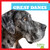Great Danes - 9781624967764 by Nadia Higgins, 9781624967764