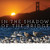 In the Shadow of the Bridge (Birds of the Bay Area) by Dick Evans, Hannah Hindley, Mary Ellen Hannibal, 9781597146913