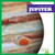 Jupiter - 9781620318409 by Vanessa Black, 9781620318409