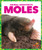 Moles - 9781620316955 by Karen Latchana Kenney, 9781620316955