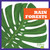 Rain Forests - 9781620316818 by Nadia Higgins, 9781620316818