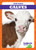 Calves - 9781620317662 by Tim Mayerling, 9781620317662