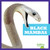 Black Mambas - 9781620316634 by Imogen Kingsley, 9781620316634