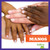 Manos (Hands) (Spanish Edition) by Imogen Kingsley, 9781620318157 Manos (Hands) (Spanish Edition) by Imogen Kingsley, 9781620318157