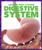 Digestive System - 9781620315583 by Karen Latchana Kenney, 9781620315583