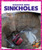 Sinkholes - 9781620315651 by Vanessa Black, Dana Flemming, 9781620315651