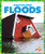 Floods - 9781620313985 by Vanessa Black, 9781620313985