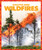 Wildfires - 9781620314005 by Vanessa Black, Dana Flemming, 9781620314005