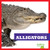 Alligators - 9781620313794 by Vanessa Black, 9781620313794